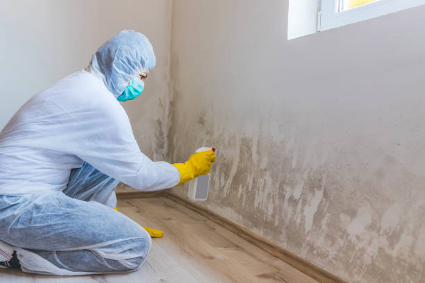 Hvac And Air Duct Mold Remediation inspection of HVAC system in Estes Park