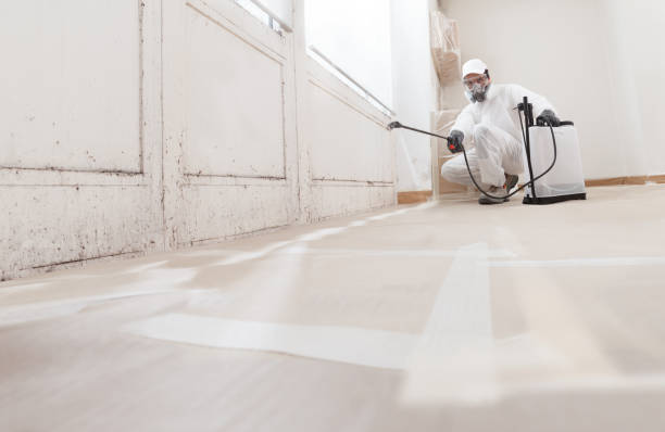 Black mold remediation team in Estes Park